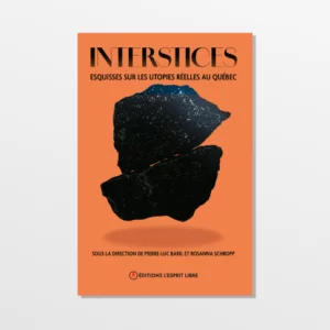Interstices : Esquisses sur les utopies réelles au Québec Cover