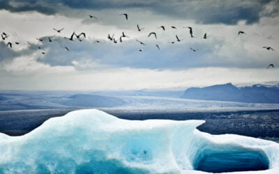 De la fibre optique dans l&rsquo;Arctique : la route sous-marine des millions à haute vitesse