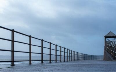 « La mer monte » : Approches croisées d’un littoral en voie de métamorphose