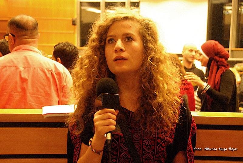 Elles aussi : femmes et féminisme sous occupation israélienne