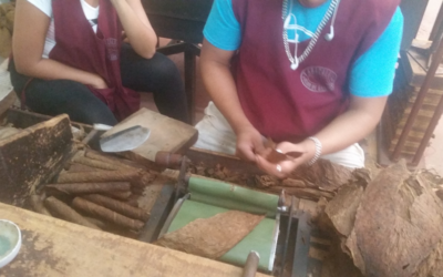 Les cigares de Daniel Ortega : une industrie socialiste?