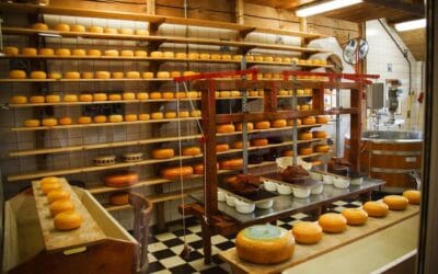Quand l&rsquo;industrie agroalimentaire se fait chef cuisinière