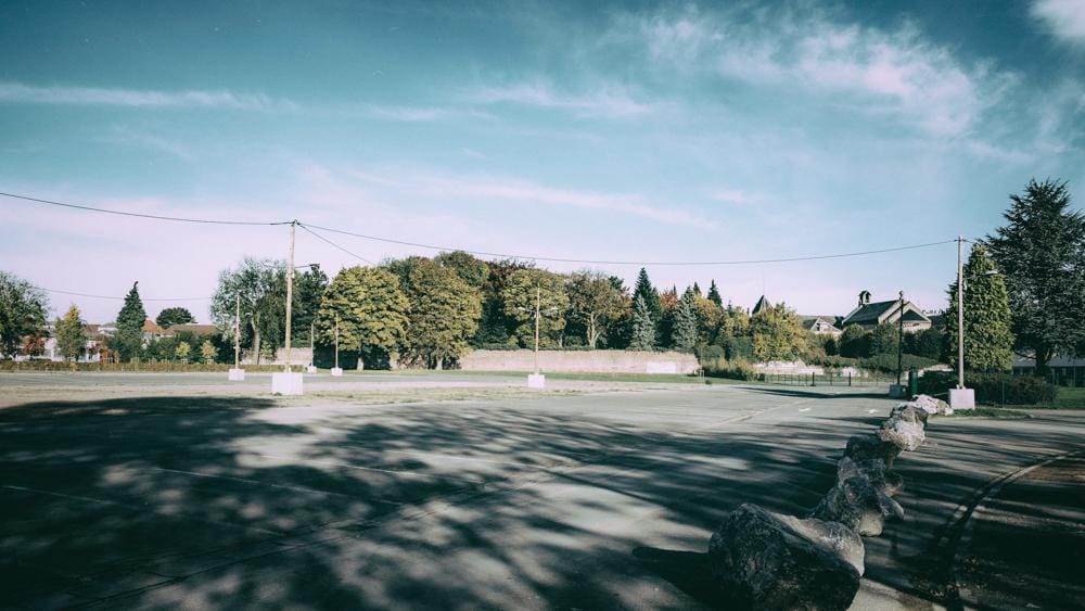 L’arbre : outil inespéré des villes face aux changements climatiques