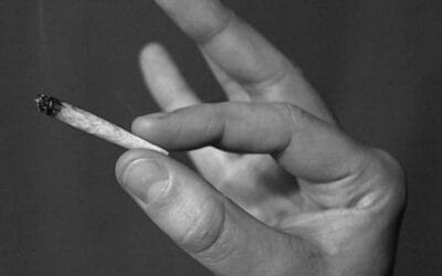 Légalisation du cannabis, volontarisme local et compétence fédérale