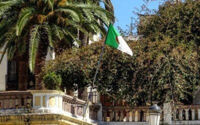 Sous les palmiers d’Alger : une question de poil