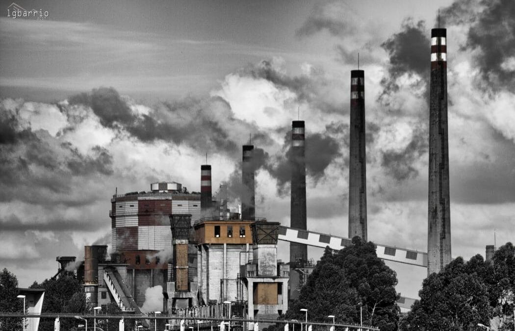 La diversité des rapports à la crise environnementale