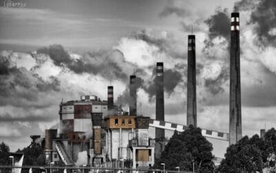 La diversité des rapports à la crise environnementale