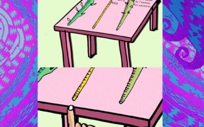 Les élections vues par Solal