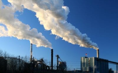 Le Québec n&rsquo;est ni bleu, ni vert