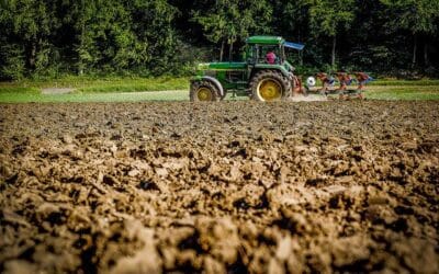 Politiques agricoles pour les producteurs et productrices au Québec : l’état des lieux