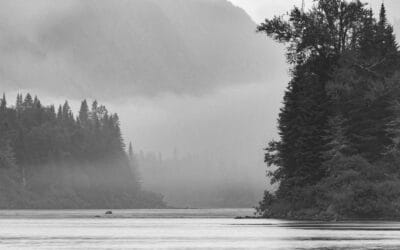 Aires protégées au Québec : vers un objectif de conservation de la biodiversité?