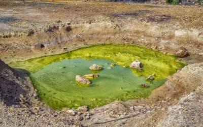 Résistances transnationales à l’extractivisme en temps de pandémie