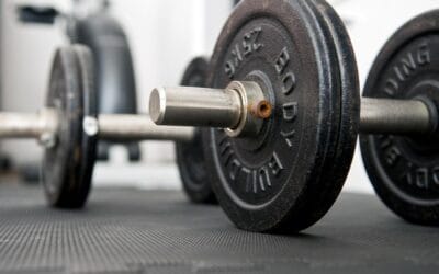 Le Cercle du ventre mou