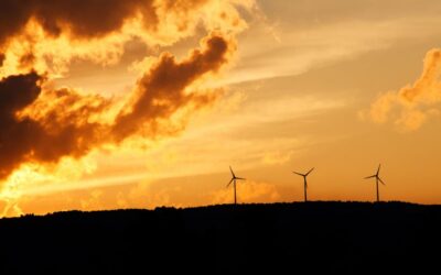 La transition écologique peut-elle être écologique ?