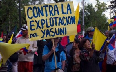 Le Yasuni perd la bataille face au péril pétrolier