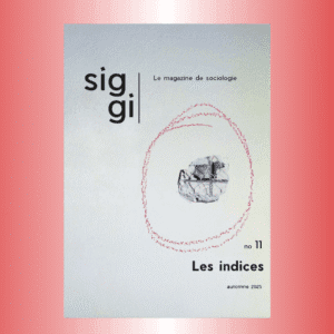 SIGGI - NUMÉRO 11 : Les indices
