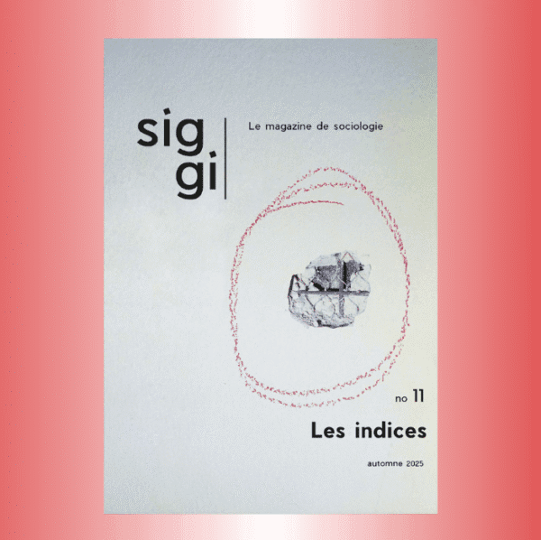 SIGGI - NUMÉRO 11 : Les indices
