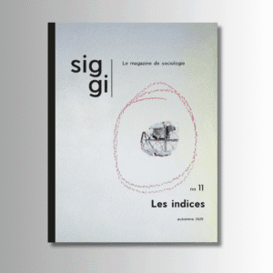 SIGGI - NUMÉRO 11 : Les indices