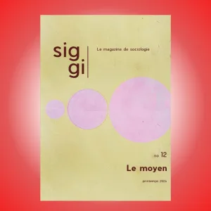 SIGGI - NUMÉRO 12 : Le moyen