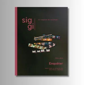 SIGGI - HORS-SÉRIE : Enquêter